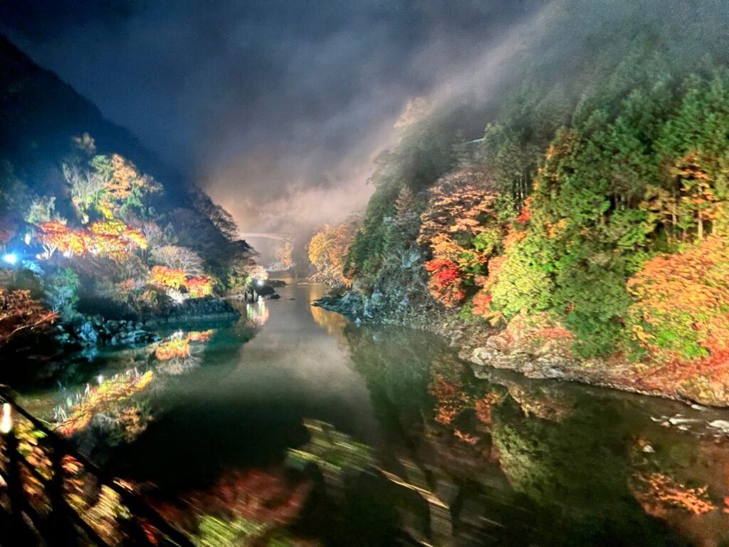 保津川渓谷を走る嵯峨野トロッコ列車